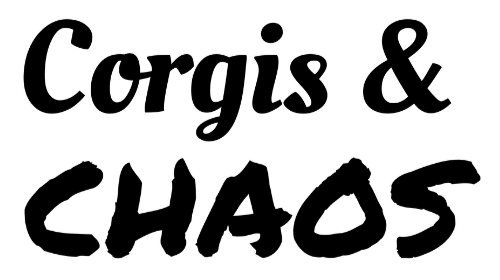 CORGIS & CHAOS